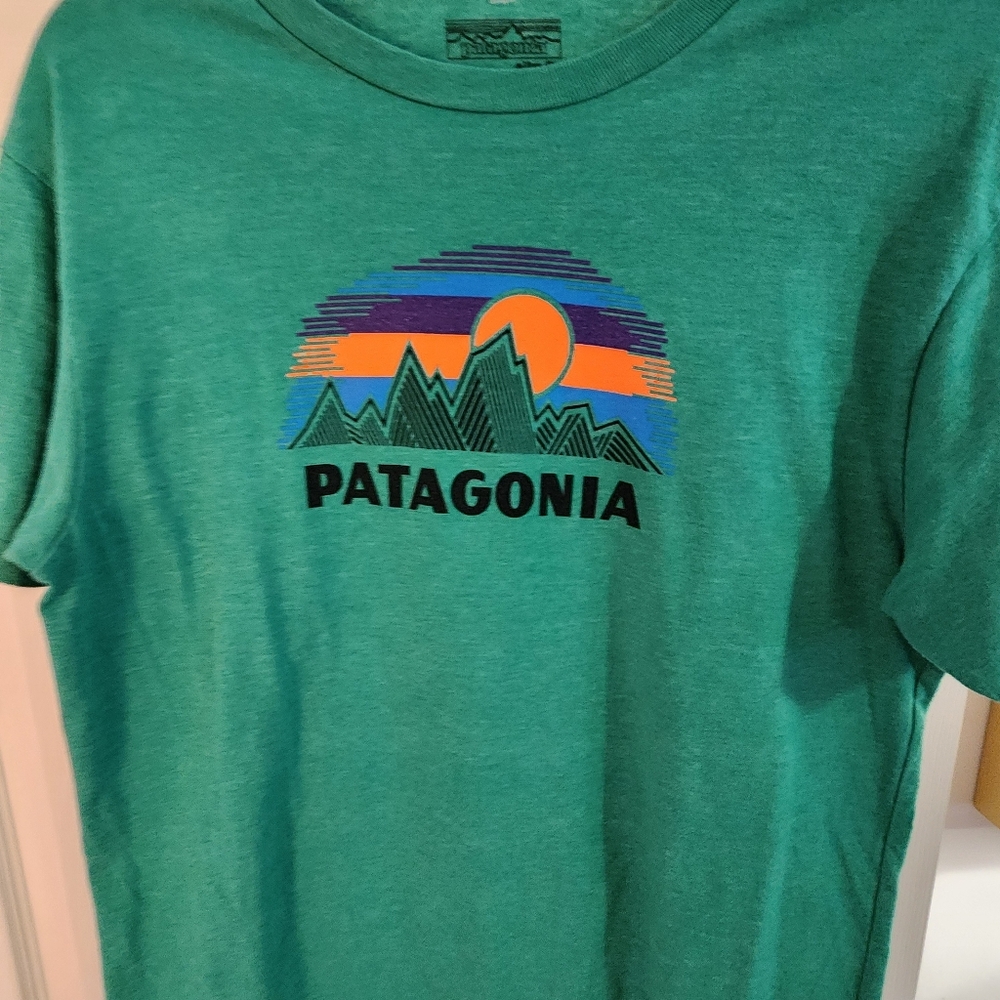 Patagonia Teal T-Shirt with Vibrant Graphic. Slim Fit. Brand New Without Tag - Picture 4 of 6